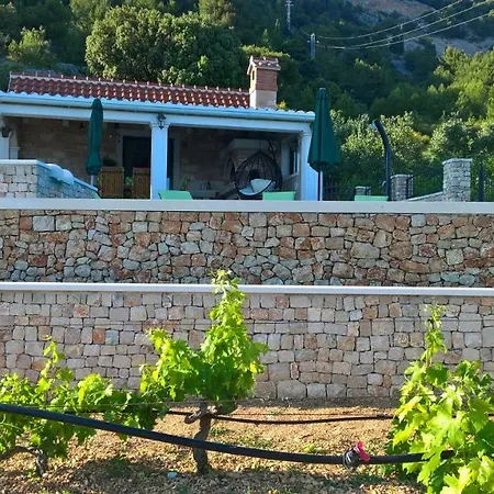 Lucija Bol