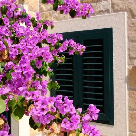Lucija Holiday home *