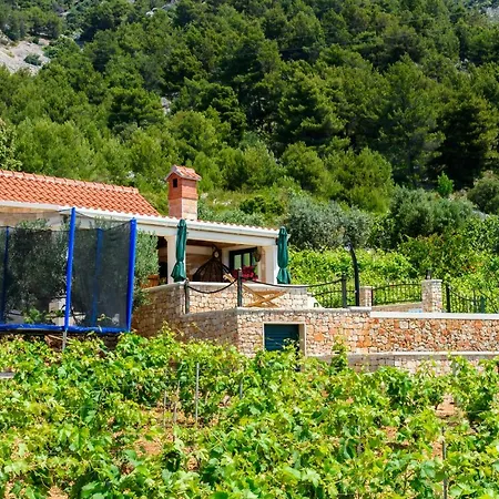 Lucija Holiday home *