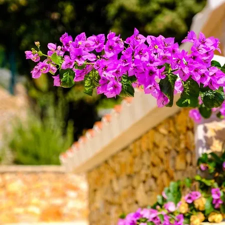 Holiday home Lucija *